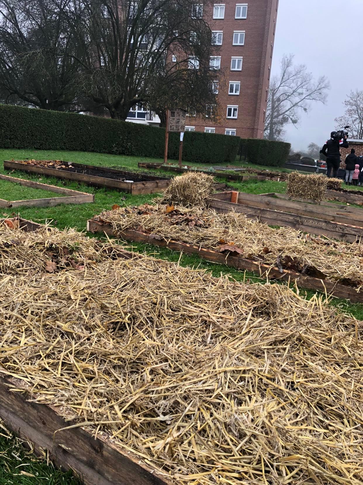 Jardin communautaire