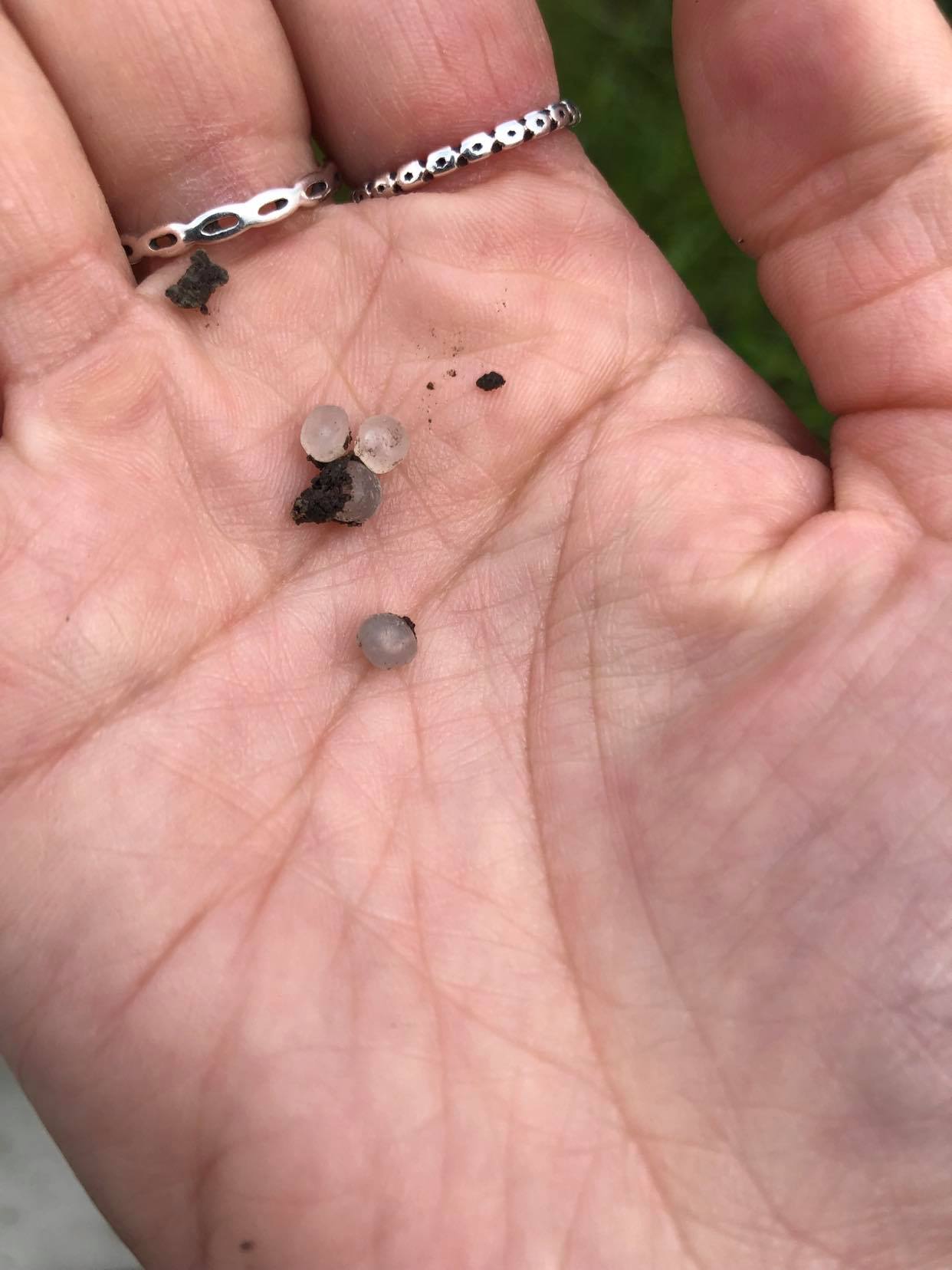 Micro-billes