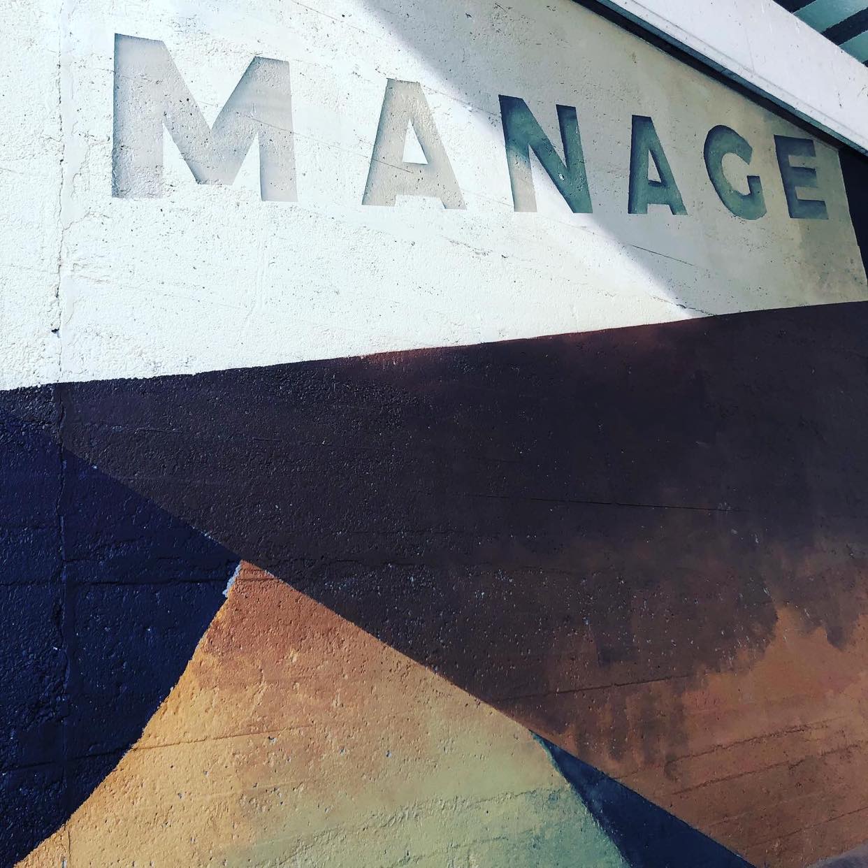 Fresque Manage