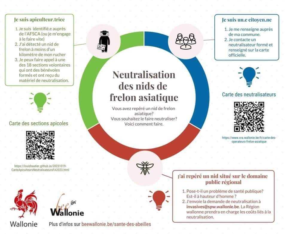 neutralisation