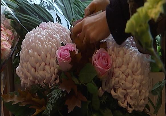 Toussaint : les fleurs de novembre  