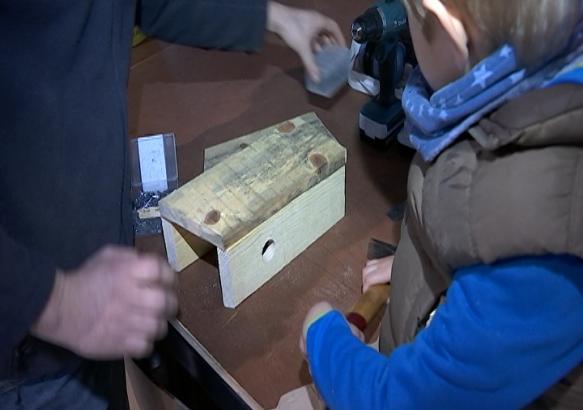 Ronquière : construire des nichoirs