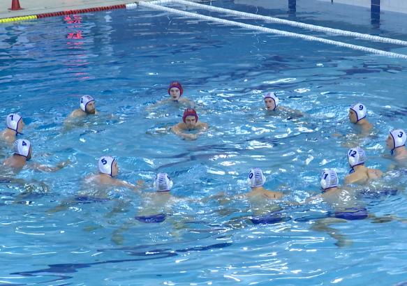 Water-Polo Superligue: brève ENL - Tournai