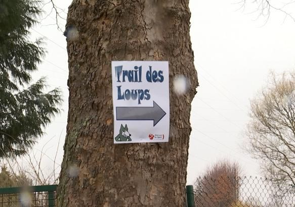 Saint-Vaast: lancement du Trail des Loups 
