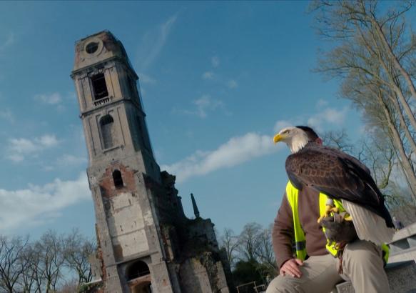 Nouvelle saison à Pairi Daiza avec quelques nouveautés et surprises