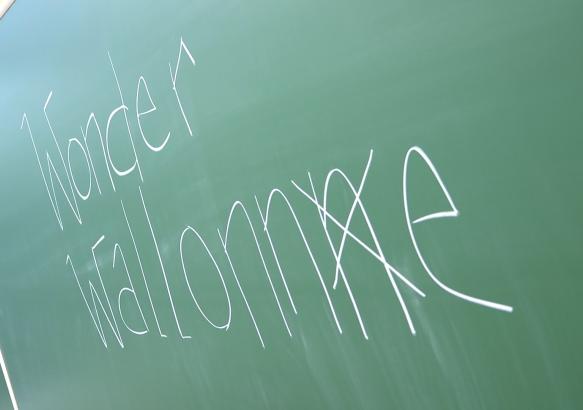 Wonder Wallonne à l'Ecole primaire de Péronnes-charbonnage