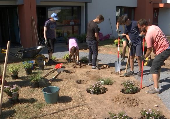 Les jobistes d'Eté solidaire en action dans les quartiers louviérois