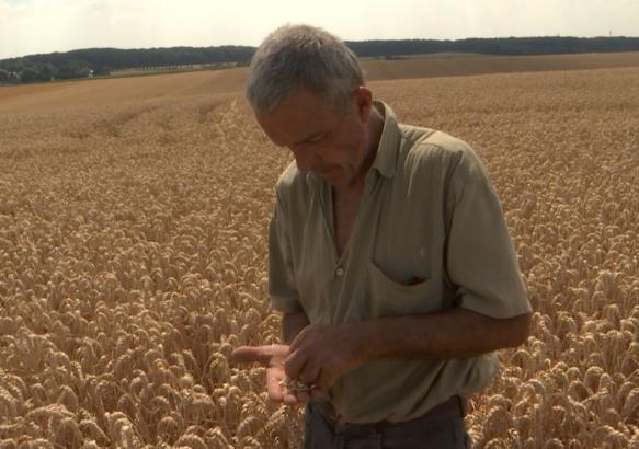 Sécheresse :  une situation préoccupante pour les agriculteurs