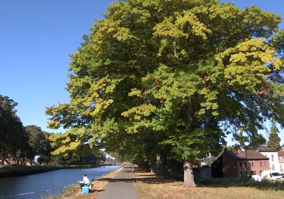 Centre: une belle journée sous le soleil