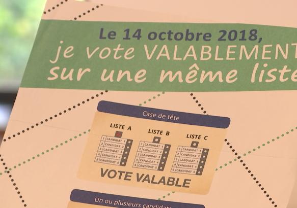 Wallonie: l organisation des élections communales et provinciales