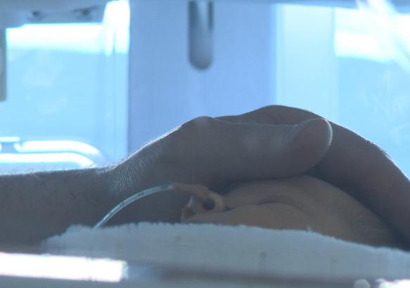 Les bébés prématurés au centre des attentions