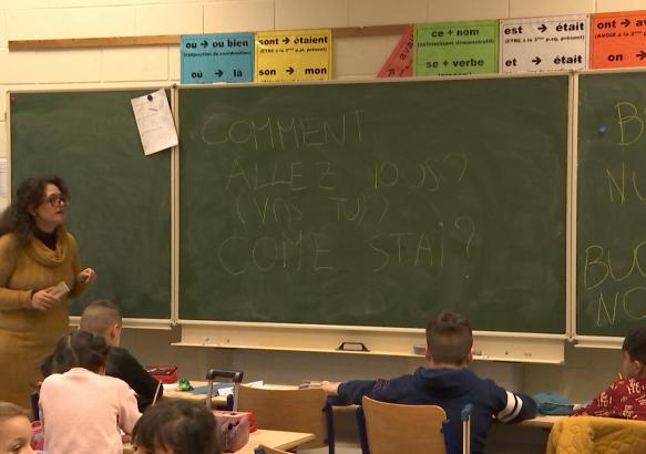 La Louviere : des cours d'italien gratuits pour les enfants