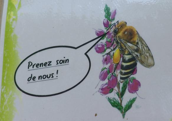 Ronquières : des gîtes pour les insectes