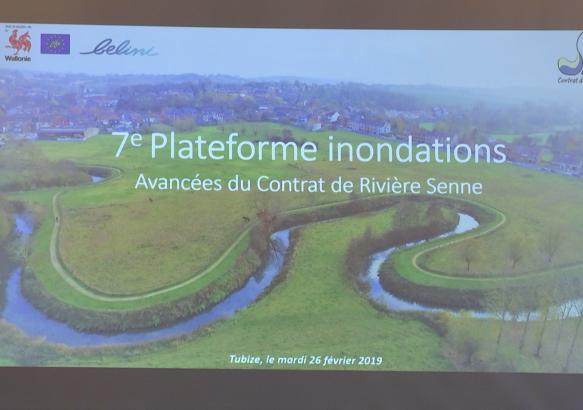 Tubize : réguler la Senne et sa biodiversité