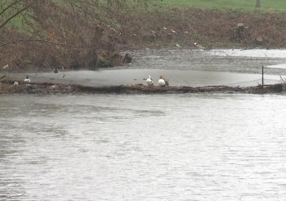 Braine-le-Comte : journées wallonnes de l'eau