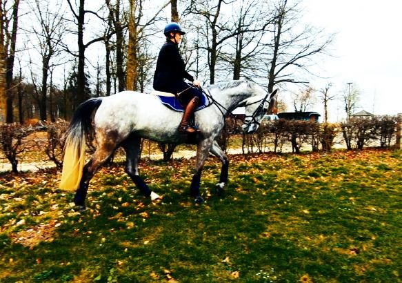 Equitation : Virginie Caulier rêve encore de JO