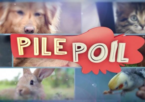 Pile Poil du 06 avril 2019