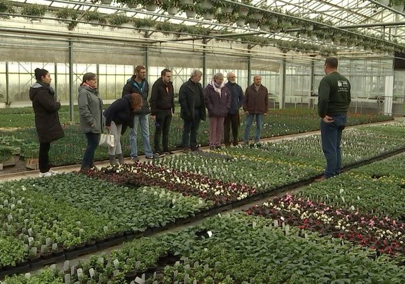 Péronnes-lez-Binche : Dans les coulisses d une Horticulture