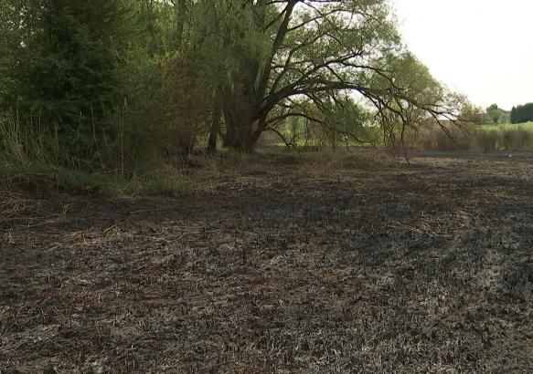 Strépy : Incendie aux Étangs