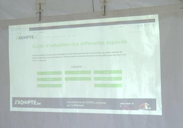 Web : J'adopte.be