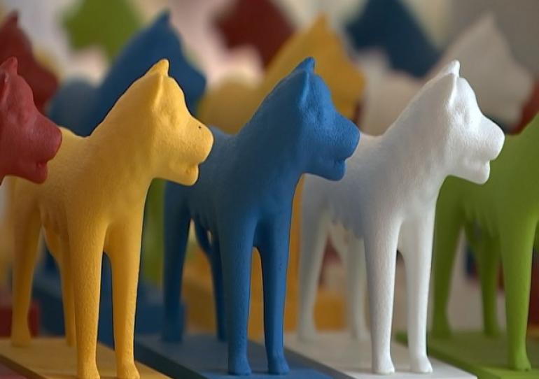 La Louvière : finaliste d'un concours européen 