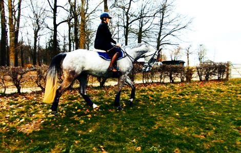 Equitation : Virginie Caulier rêve encore de JO
